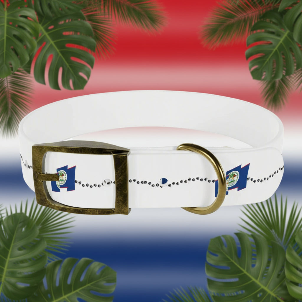 White dog collar with a gold buckle on a gray background