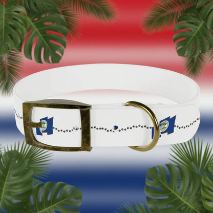 White dog collar with a gold buckle on a gray background