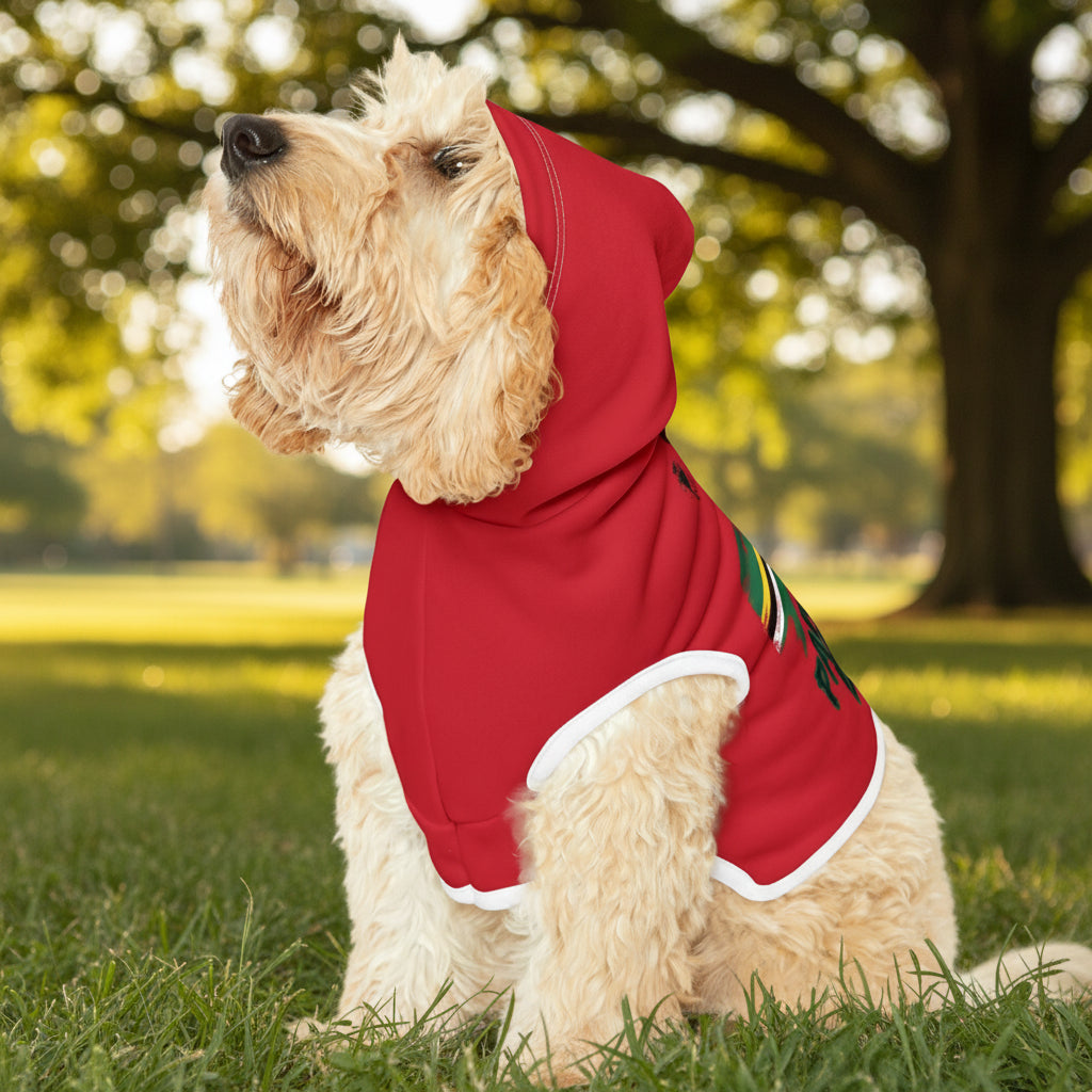 Paw-sitive Energy Pet Hoodie