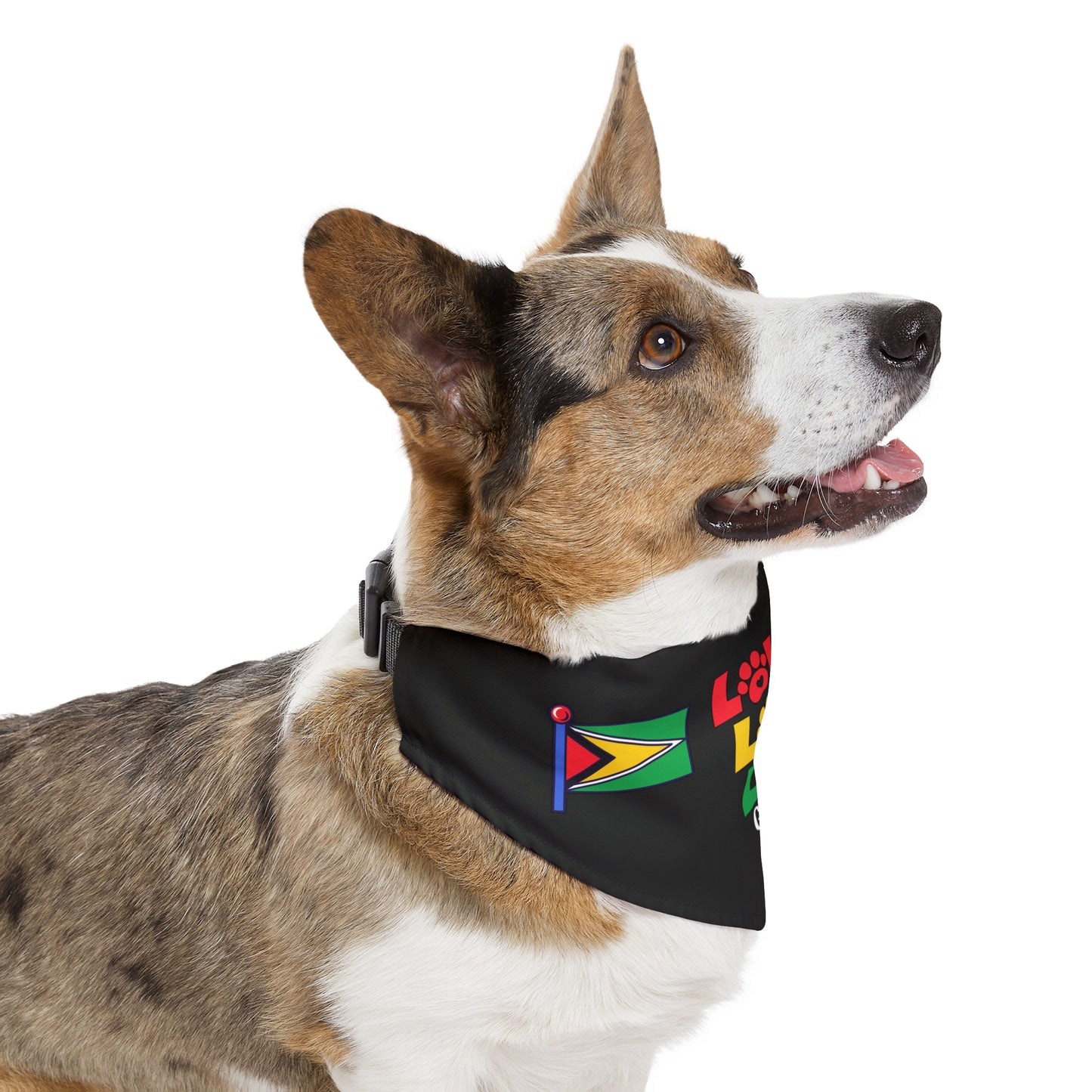 Love Guyana Pet Bandana Collar