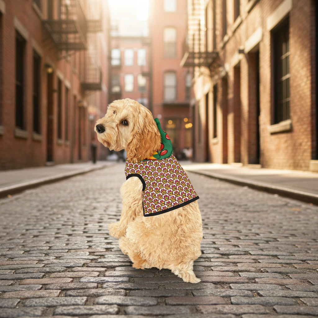 Dog wearing a colorful patterned sweater on a white background