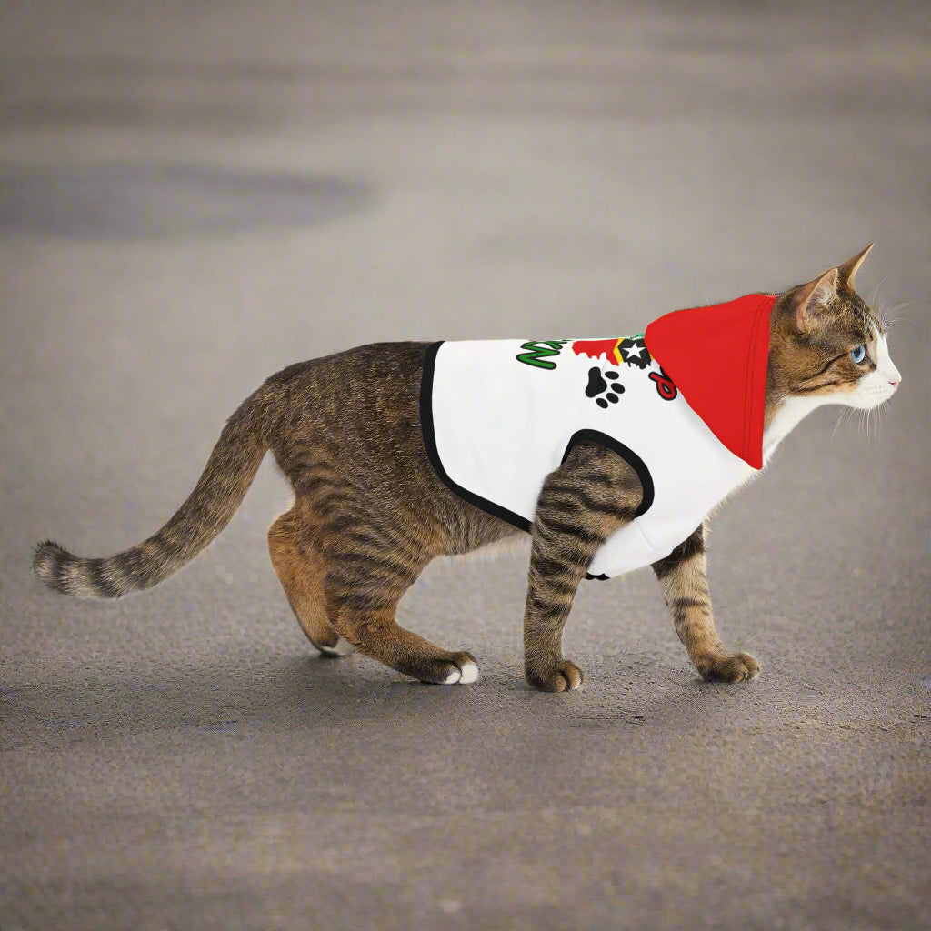 Paws Up for SKN Pet Hoodie