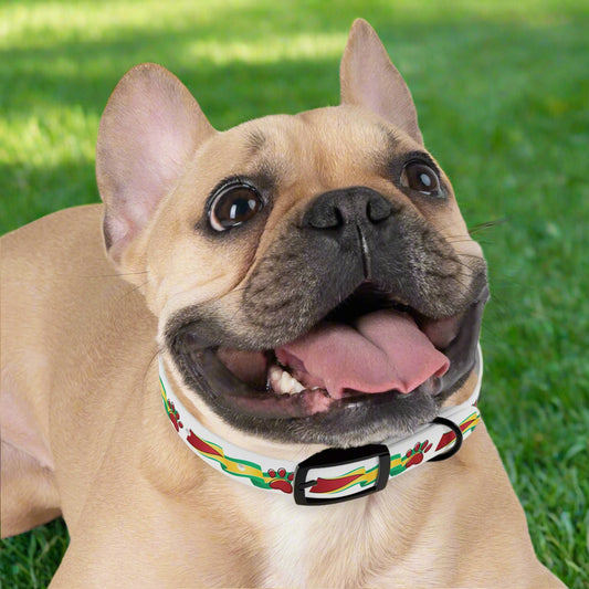 Waving Guyana Tails Pet Collar