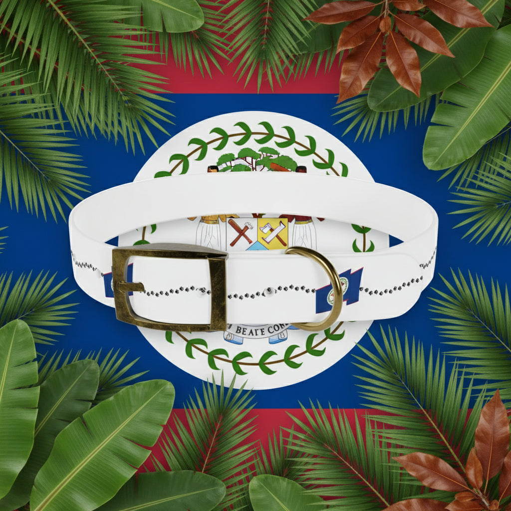 White dog collar with decorative elements on a gray background