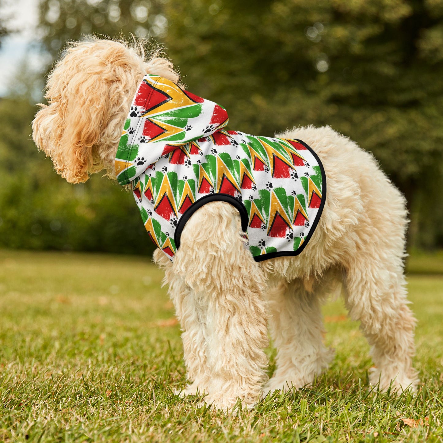 Painted Proud: Guyana Pet Hoodie