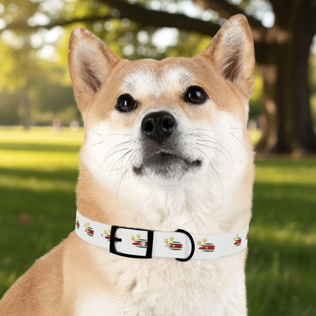 Golden Star Dog Collar