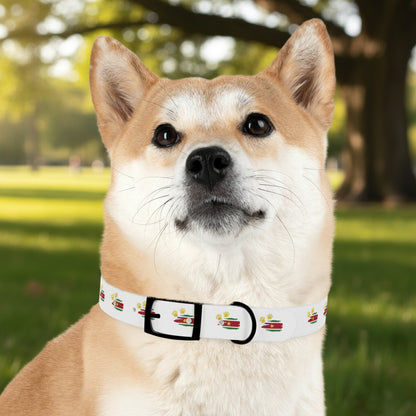 Golden Star Dog Collar