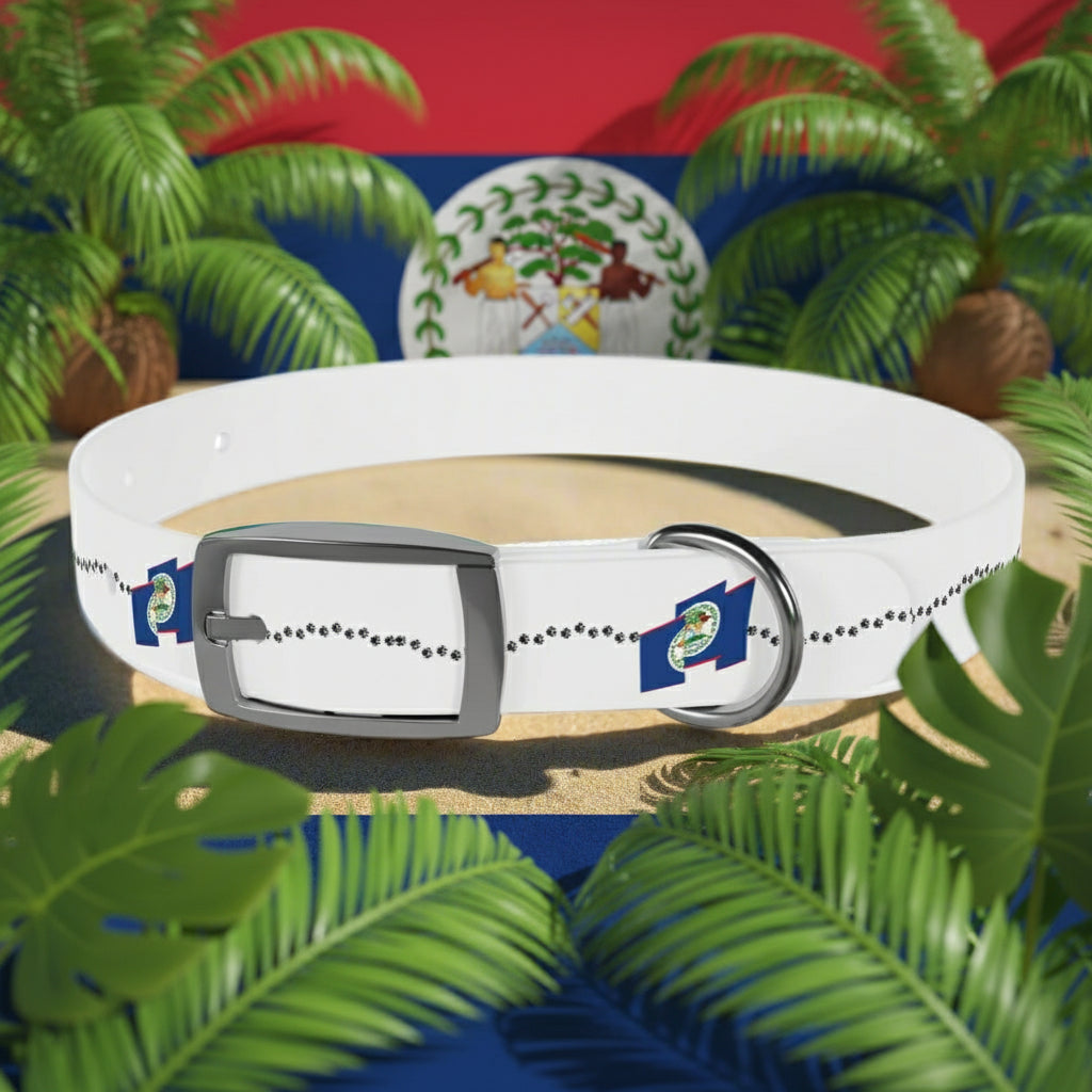 White dog collar with a metallic buckle on a sandy surface