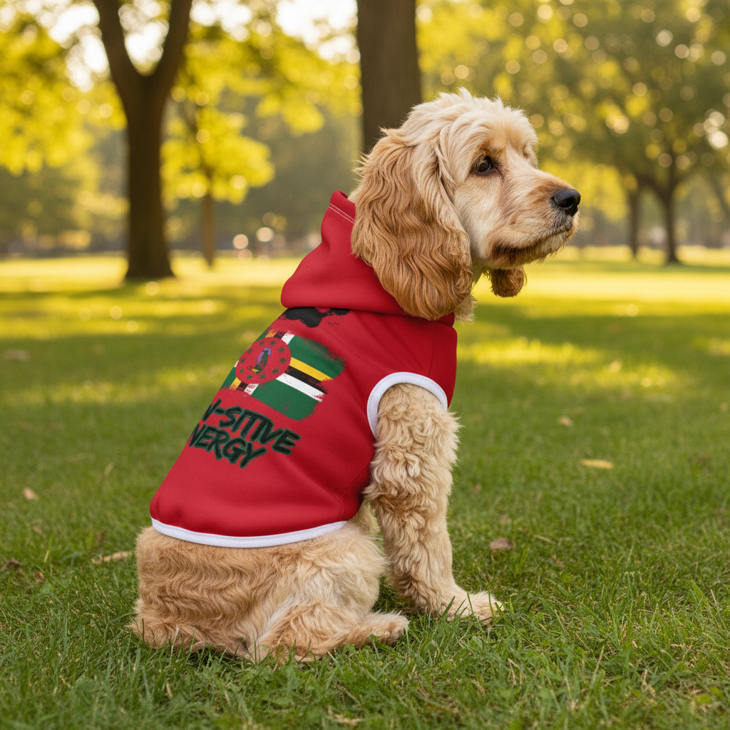 Paw-sitive Energy Pet Hoodie