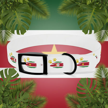 Golden Star Dog Collar