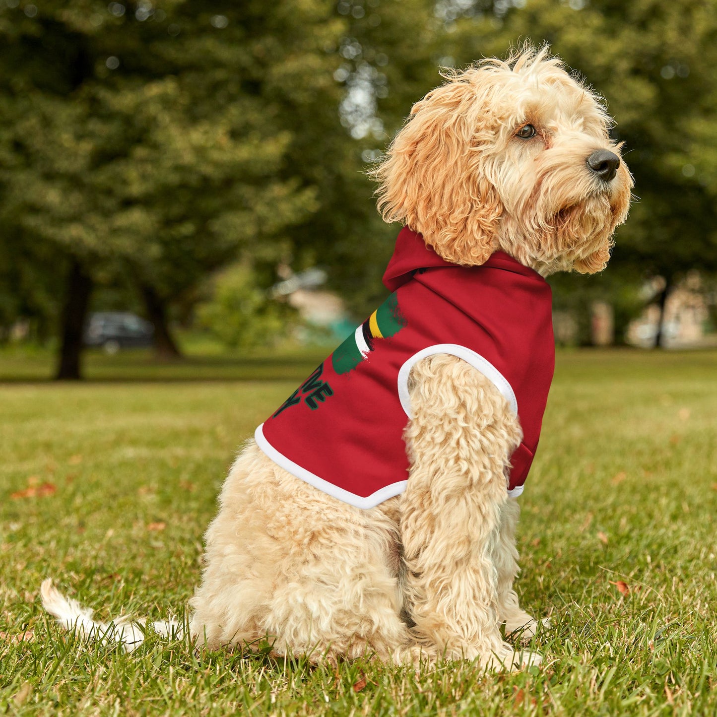 Paw-sitive Energy Pet Hoodie