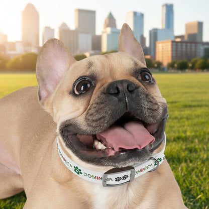 Dominica Island Strut Pet Collar