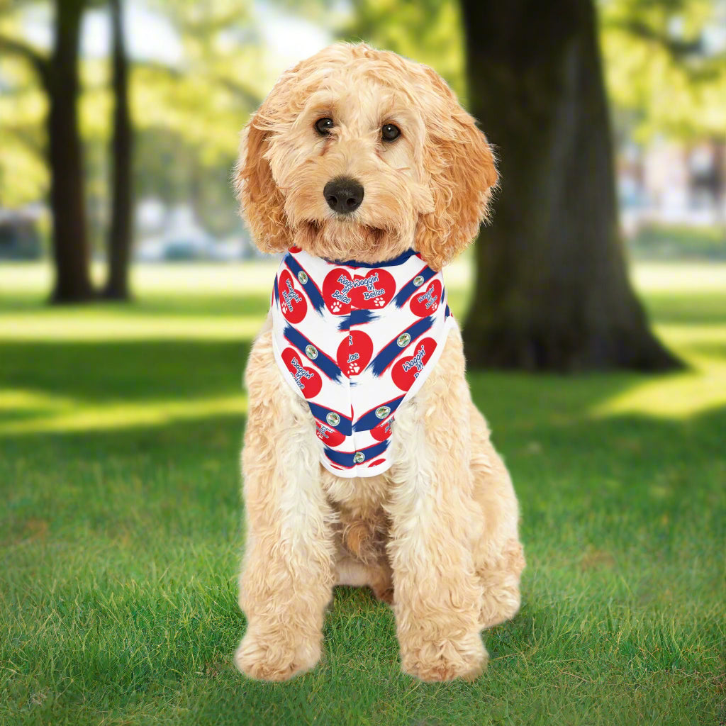 Waggin’ in Belize Pet Hoodie