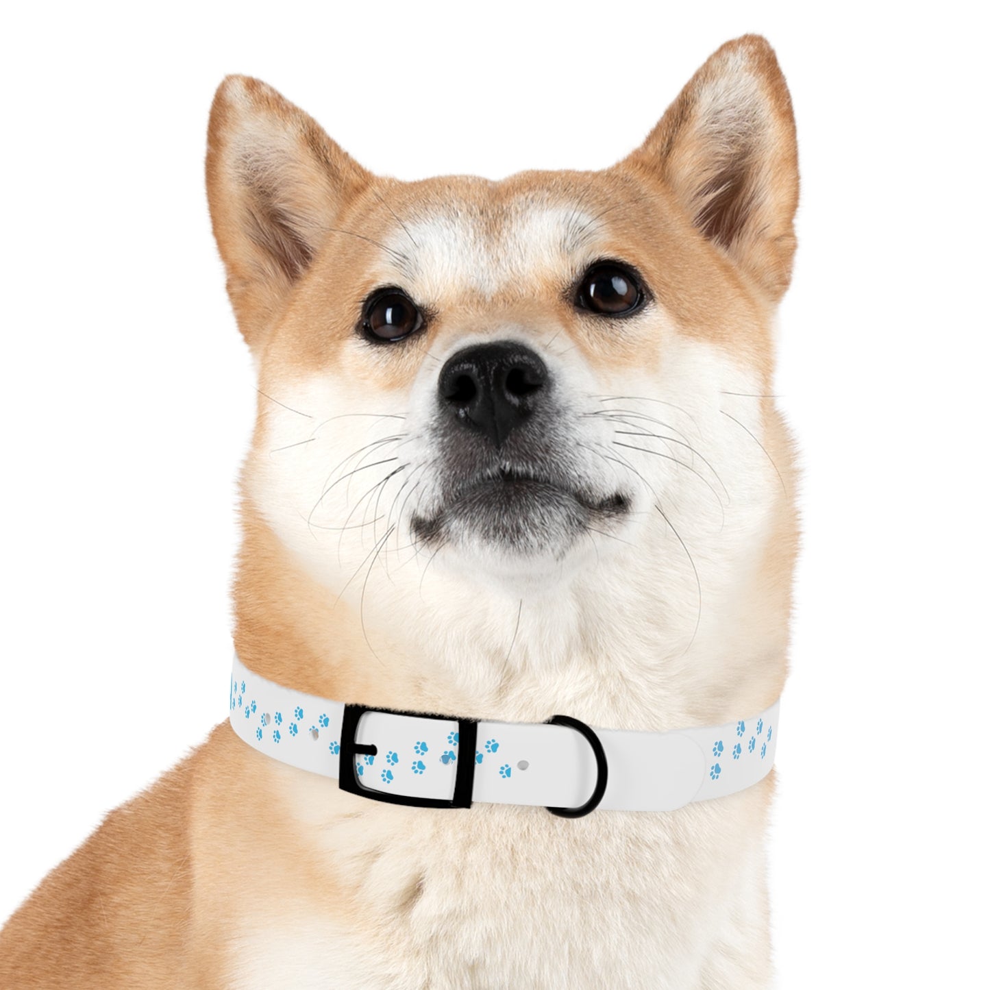 St. Lucia Pet Collar