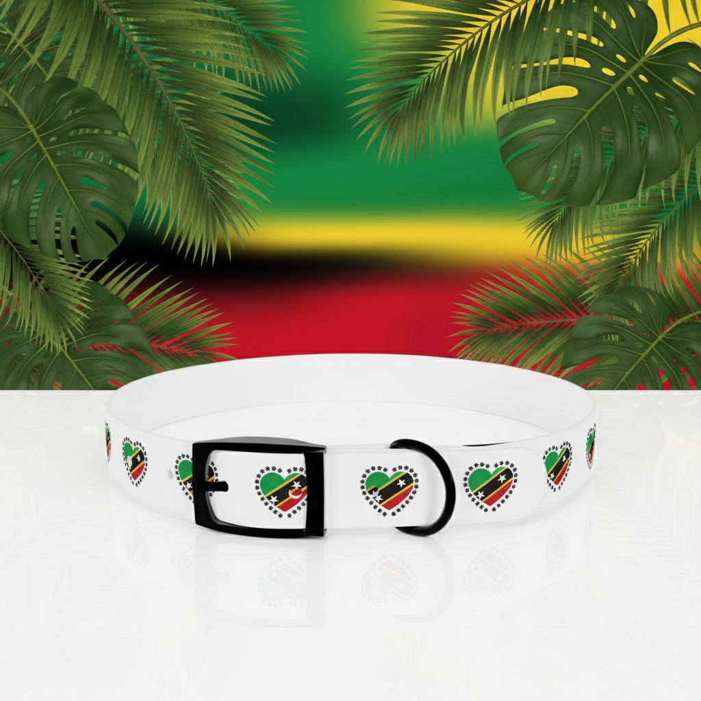 Heart of SKN Collar