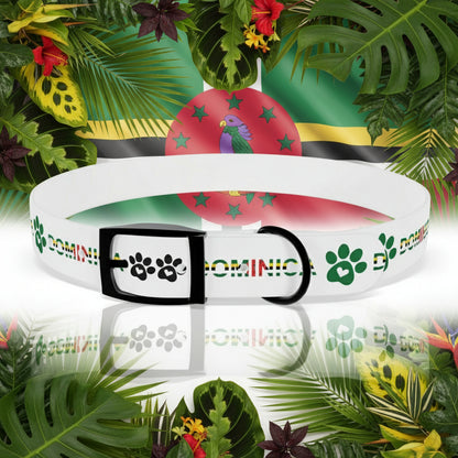White dog collar with colorful paw print design on a tropical leaf background