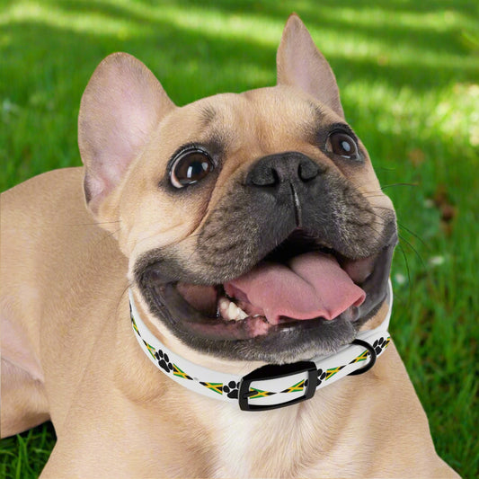 Jamaica Jammin' Pet Collar