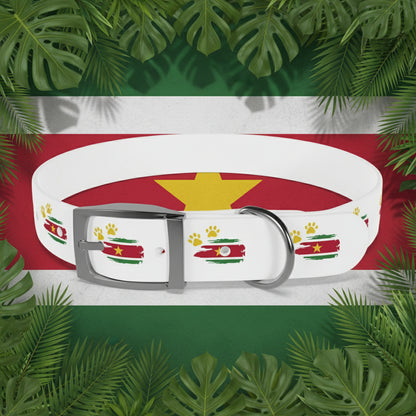 Golden Star Dog Collar