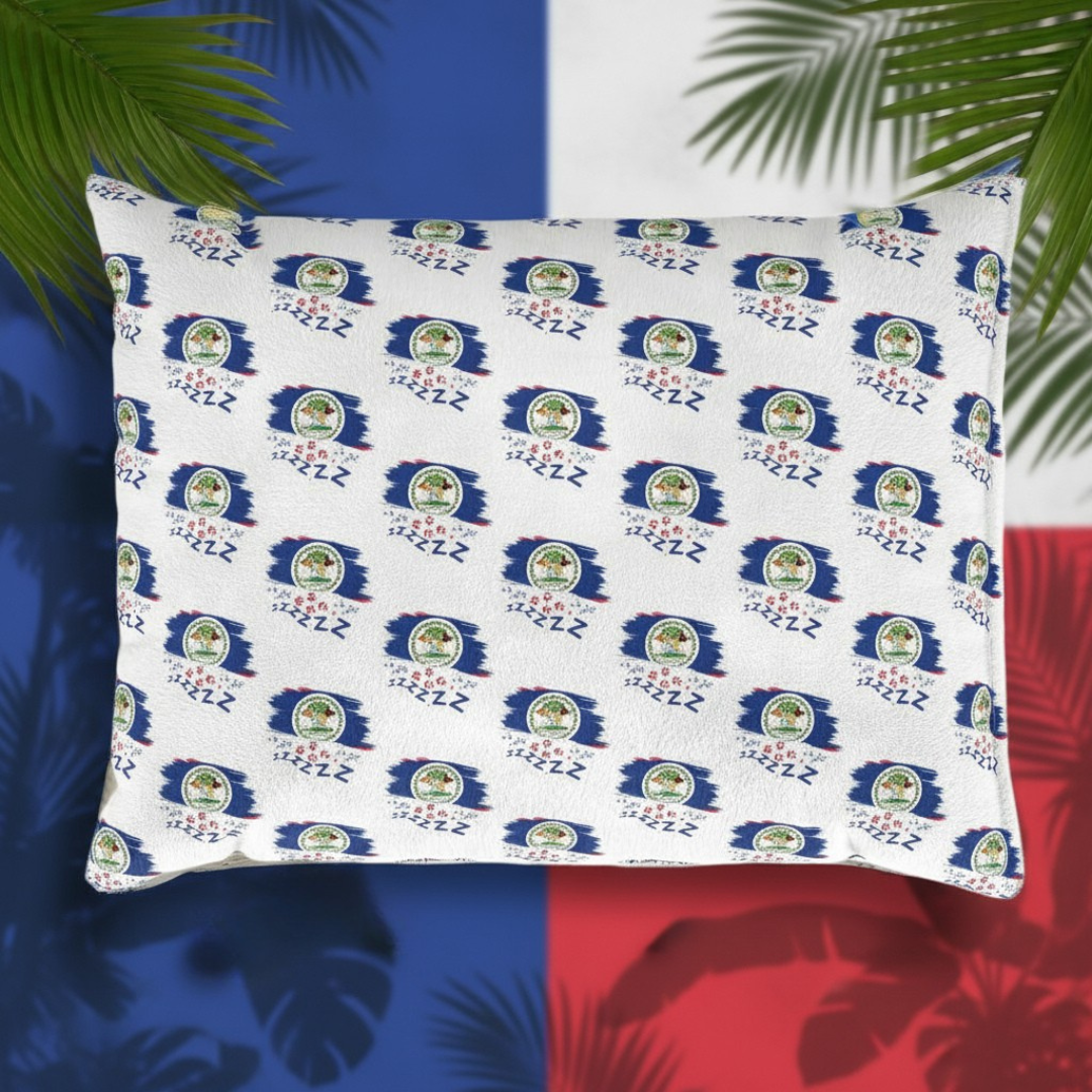 Belizean Snooze Spot Pet Bed