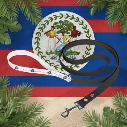 Black and white dog leashes on sand