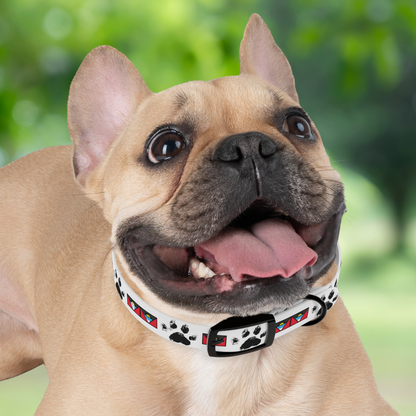 Twin-Island Pride Collar