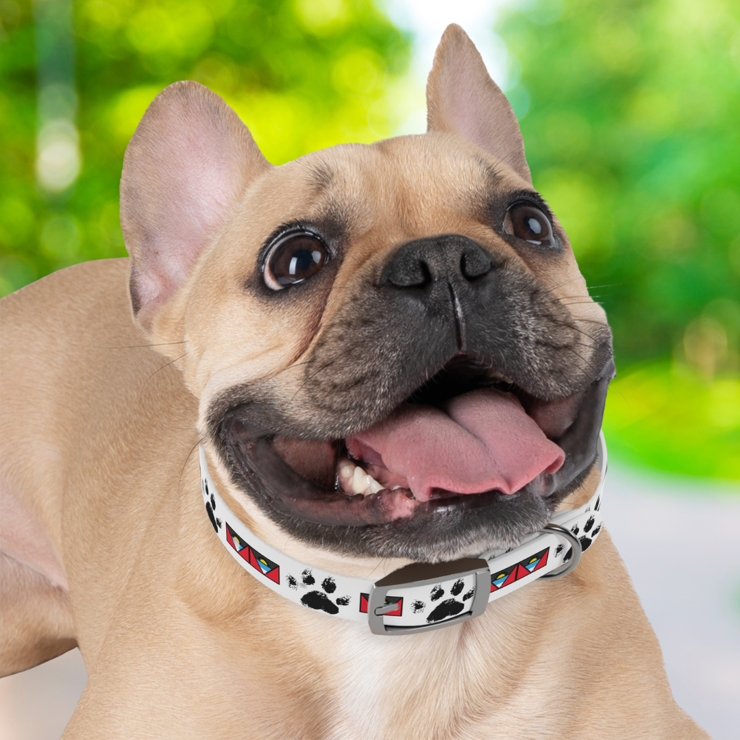 Twin-Island Pride Collar