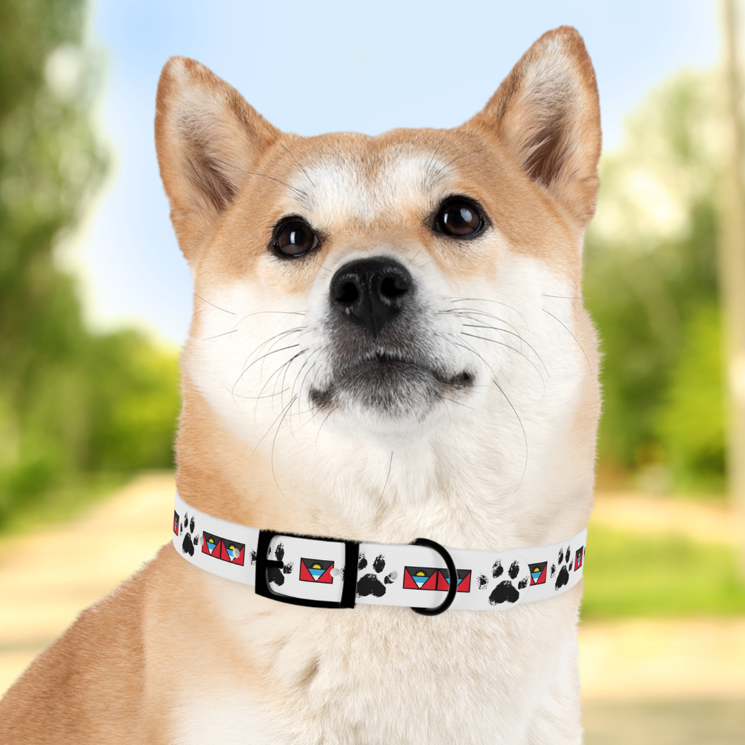 Twin-Island Pride Collar