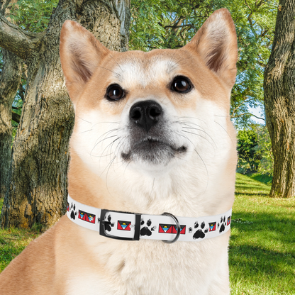 Twin-Island Pride Collar