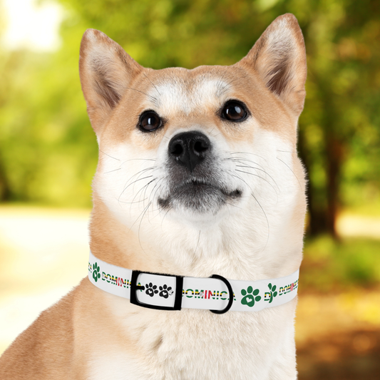 Dominica Island Strut Pet Collar