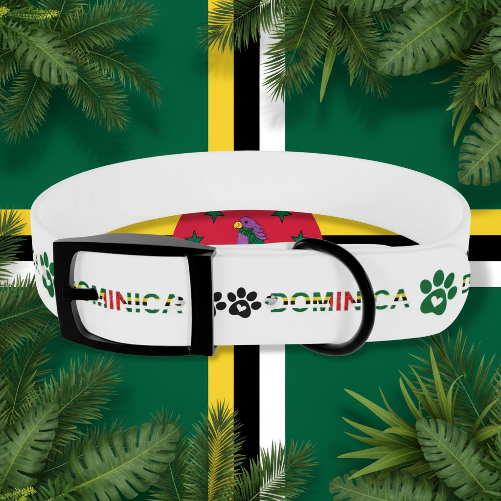 White dog collar with 'Dominica' and paw print design on a sandy background