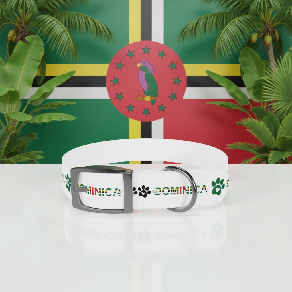 White dog collar with 'Dominica' text and paw prints on sand and blue sky background