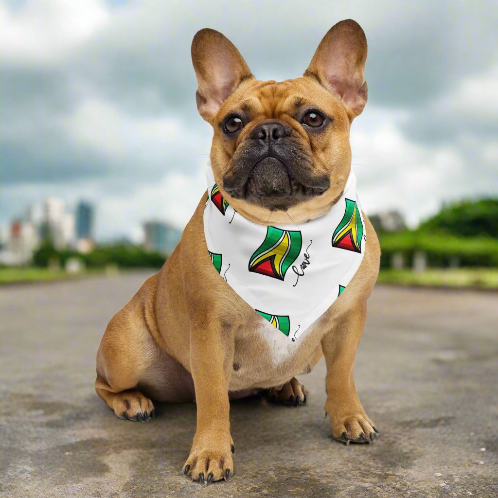 Guyana Pride Pet Bandana