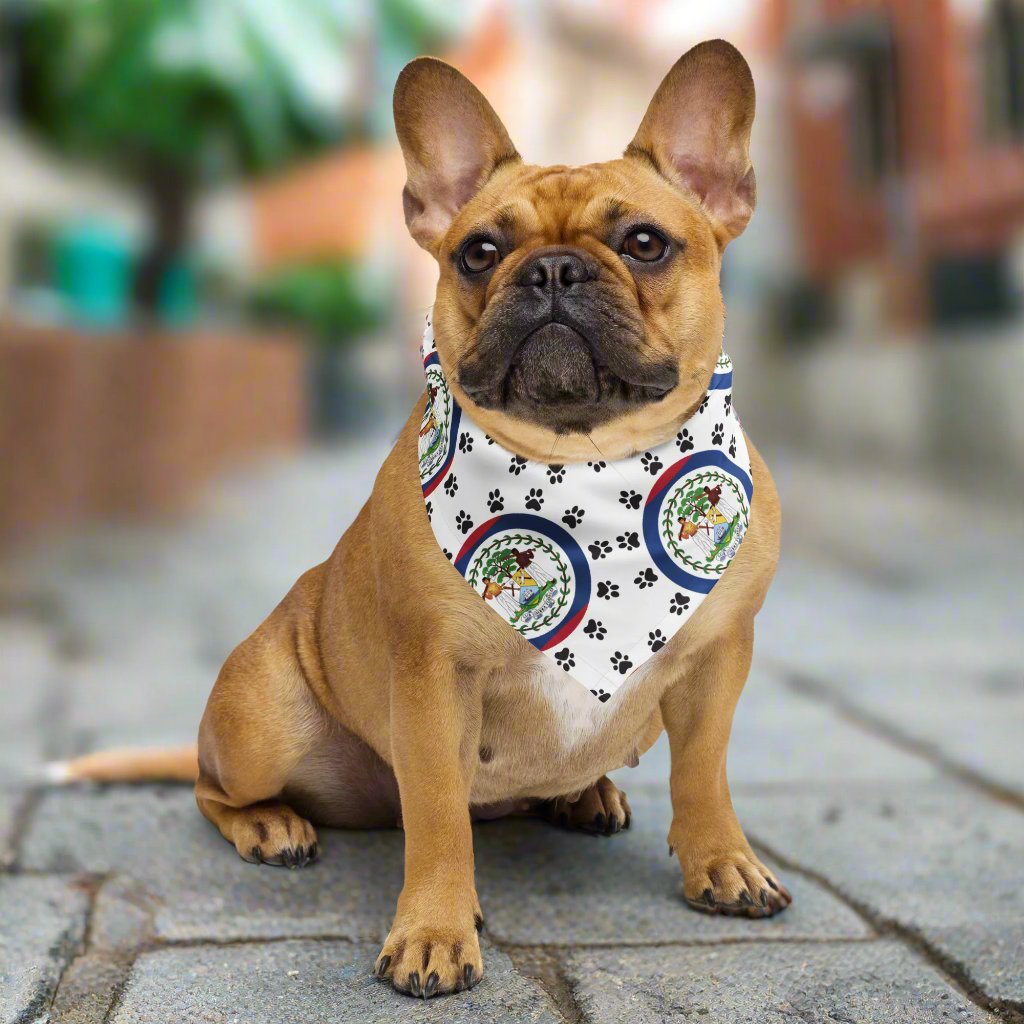 Belizean Pride Pet Bandana